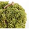 SAFAVIEH Home Collection 10-inch Decorative Artificial Moss Pumpkin (Fully Assembled)(Green)