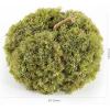 SAFAVIEH Home Collection 10-inch Decorative Artificial Moss Pumpkin (Fully Assembled)(Green)