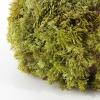 SAFAVIEH Home Collection 10-inch Decorative Artificial Moss Pumpkin (Fully Assembled)(Green)
