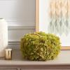 SAFAVIEH Home Collection 10-inch Decorative Artificial Moss Pumpkin (Fully Assembled)(Green)