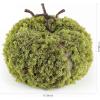 SAFAVIEH Home Collection 15-inch Decorative Artificial Moss Pumpkin (Fully Assembled)