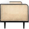 Safavieh Couture Helena French Mid-Century Natural and Beige Rattan Daybed(Black/Natural)