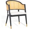 Safavieh Couture Home Collection Rogue Natural Rattan Living Room Dining Accent Chair (Fully Assembled) SFV4106B(Black / Natural)