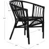 Safavieh Home Adriana Coastal White Rattan (Set of 2) Accent Chair (ACH6505B-SET2)(Black)