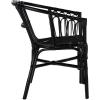 Safavieh Home Adriana Coastal White Rattan (Set of 2) Accent Chair (ACH6505B-SET2)(Black)