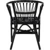 Safavieh Home Adriana Coastal White Rattan (Set of 2) Accent Chair (ACH6505B-SET2)(Black)