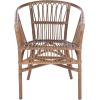 Safavieh Home Adriana Coastal White Rattan (Set of 2) Accent Chair (ACH6505B-SET2)(Grey White Wash)