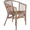 Safavieh Home Adriana Coastal White Rattan (Set of 2) Accent Chair (ACH6505B-SET2)(Grey White Wash)