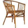 Safavieh Home Adriana Coastal White Rattan (Set of 2) Accent Chair (ACH6505B-SET2)(Honey Brown Wash)