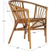 Safavieh Home Adriana Coastal White Rattan (Set of 2) Accent Chair (ACH6505B-SET2)(Honey Brown Wash)