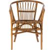 Safavieh Home Adriana Coastal White Rattan (Set of 2) Accent Chair (ACH6505B-SET2)(Honey Brown Wash)