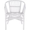 Safavieh Home Adriana Coastal White Rattan (Set of 2) Accent Chair (ACH6505B-SET2)(White)