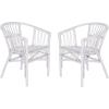 Safavieh Home Adriana Coastal White Rattan (Set of 2) Accent Chair (ACH6505B-SET2)(White)