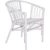 Safavieh Home Adriana Coastal White Rattan (Set of 2) Accent Chair (ACH6505B-SET2)(White)