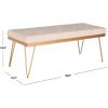 Safavieh Home Collection Marcella Brown & Gold Bench(Beige / Gold)