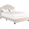 Safavieh Home Collection Theron Navy Velvet Nickel Nailhead Trim Full Bed(Light Beige/Espresso – Silver Nailheads)