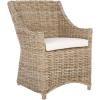 Safavieh Home Collection Ventura Brown and White Washed Arm Chair(white)