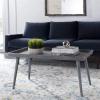 Safavieh Home Nonie Modern Slate Grey Tray Top Coffee Table(Slate / Grey)