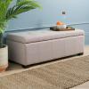 Safavieh Hudson Collection NoHo Tufted Brown Leather Large Storage Bench(Taupe)