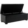 Safavieh Hudson Collection Williamsburg Brown Leather Large Storage Bench(Black)