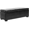 Safavieh Hudson Collection Williamsburg Brown Leather Large Storage Bench(Black)