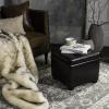 Safavieh Hudson Collection Williamsburg Brown Leather Square Storage Ottoman(Brown)