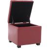 Safavieh Hudson Collection Williamsburg Brown Leather Square Storage Ottoman(Red)