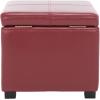 Safavieh Hudson Collection Williamsburg Brown Leather Square Storage Ottoman(Red)
