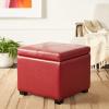 Safavieh Hudson Collection Williamsburg Brown Leather Square Storage Ottoman(Red)