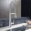Safavieh Solea Collection Rhapsody Kitchen Faucet