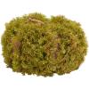 SAFAVIEH Home Collection 10-inch Decorative Artificial Moss Pumpkin (Fully Assembled)(Green)
