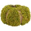 SAFAVIEH Home Collection 15-inch Decorative Artificial Moss Pumpkin (Fully Assembled)