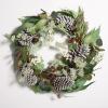 SAFAVIEH Home Collection 24-inch Decorative Artificial Eucalyptus & Berries Wreath with Pine Cones (Fully Assembled)