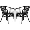 Safavieh Home Adriana Coastal White Rattan (Set of 2) Accent Chair (ACH6505B-SET2)(Black)