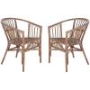 Safavieh Home Adriana Coastal White Rattan (Set of 2) Accent Chair (ACH6505B-SET2)(Grey White Wash)
