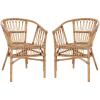 Safavieh Home Adriana Coastal White Rattan (Set of 2) Accent Chair (ACH6505B-SET2)(Honey Brown Wash)