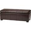 Safavieh Hudson Collection Williamsburg Brown Leather Large Storage Bench(Brown)