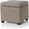 Safavieh Hudson Collection Williamsburg Brown Leather Square Storage Ottoman(Stone)