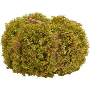 SAFAVIEH Home Collection 10-inch Decorative Artificial Moss Pumpkin (Fully Assembled)(Green)
