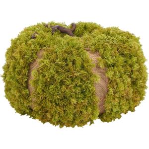 SAFAVIEH Home Collection 15-inch Decorative Artificial Moss Pumpkin (Fully Assembled)
