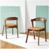 SAFAVIEH Couture Collection Brylie Rustic Black Leather Chair Set of 2(Walnut/Brown)