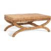 SAFAVIEH Couture Collection Caycee Coastal Tropical Natural Water Hyacinth Solid Wood Table (Fully Assembled)