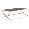 SAFAVIEH Couture Collection Debbie Brass Metal Rectangle Coffee Table (Fully Assembled)(Brass/Black)