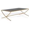 SAFAVIEH Couture Collection Debbie Brass Metal Rectangle Coffee Table (Fully Assembled)(Brass/Black)