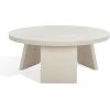 SAFAVIEH Couture Collection Julianna Mid-Century Modern Black Round Coffee Table(White Washed)