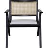 SAFAVIEH Couture Home Collection Krystine Coastal Black Rattan Back Living Room Dining Accent Chair SFV4131A(Black)