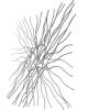 SAFAVIEH Home Collection Averina Antique White Metal Abstract Branches Wall Decor