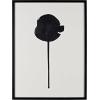 SAFAVIEH Home Collection Shadow of a Dandelion Black/Ivory 18 x 24-inch Modern Minimalist Abstract Framed Wall Art for Bedroom, Living Room, Foyer, Dining Area, Entryway