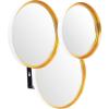 SAFAVIEH Home Loni Foil 22.5-inch Decorative Accent Mirror, Gold/Black(Gold / White)