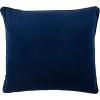 SAFAVIEH Home Rayen Dark Blue and Silver Skull 20-inch Decorative Pillow Pillow